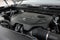 2026 INFINITI QX80 PURE