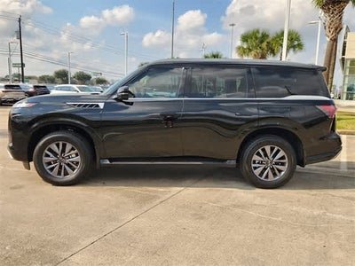 2026 INFINITI QX80 PURE