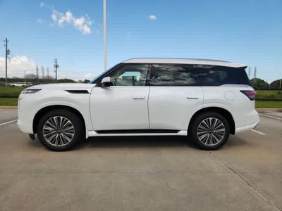 2026 INFINITI QX80 LUXE