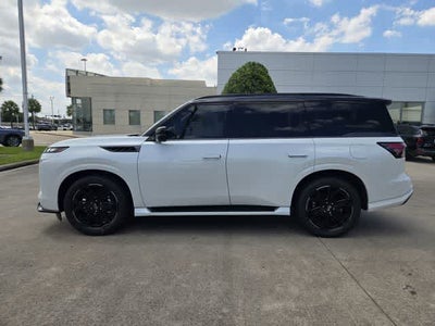 2026 INFINITI QX80 SPORT