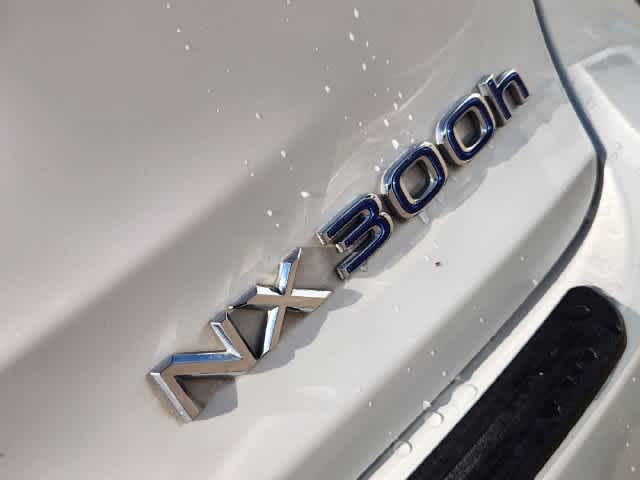 2018 Lexus NX 300h NX 300h