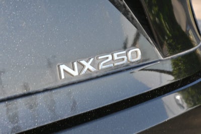 2024 Lexus NX 250 Premium