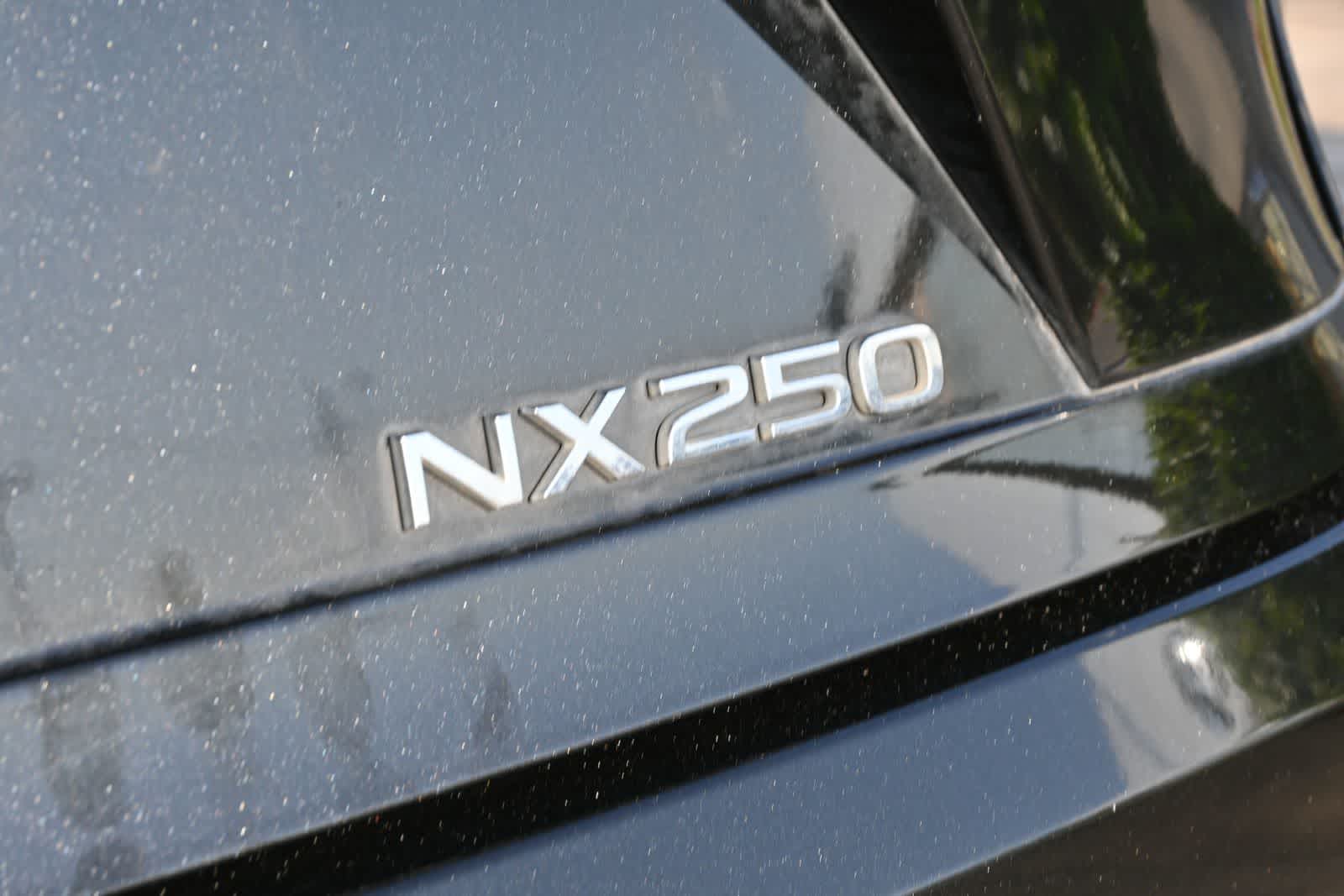 2024 Lexus NX 250 Premium