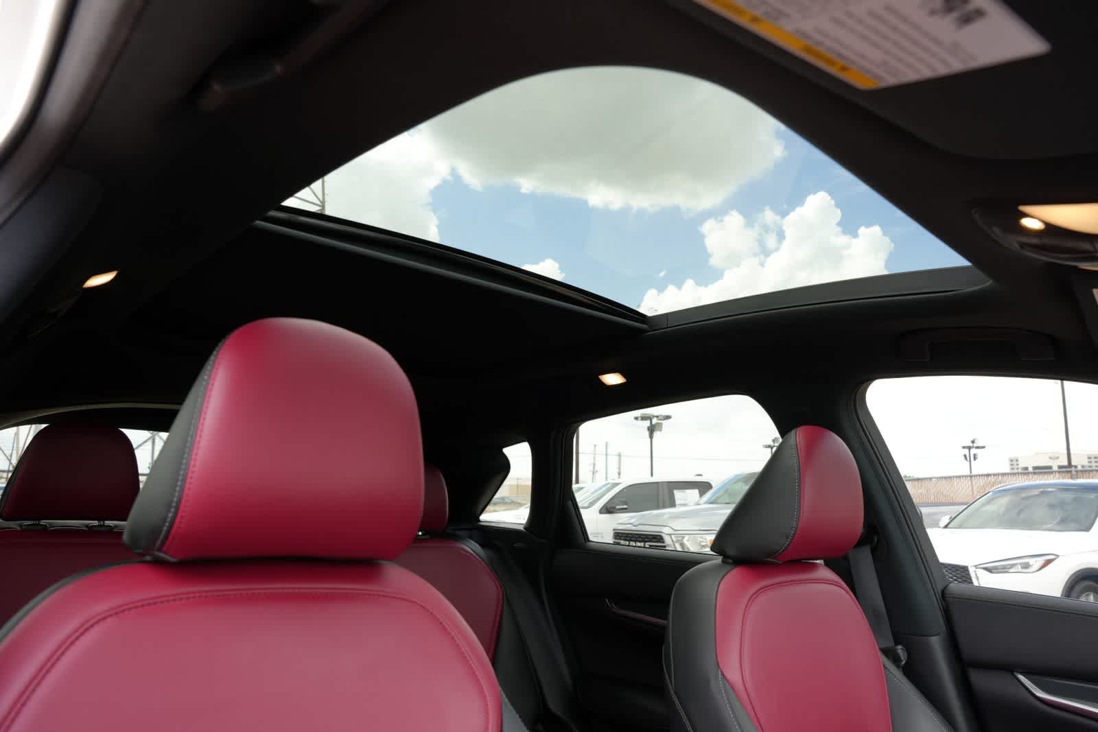 2025 INFINITI QX50 SPORT
