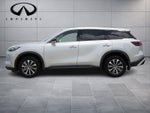 2023 INFINITI QX60 PURE