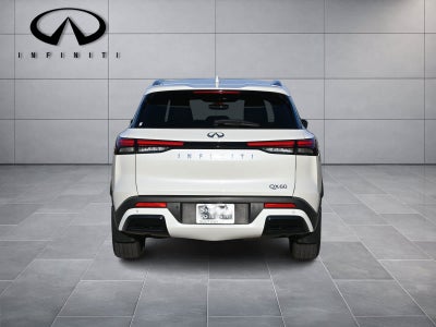 2024 INFINITI QX60 LUXE