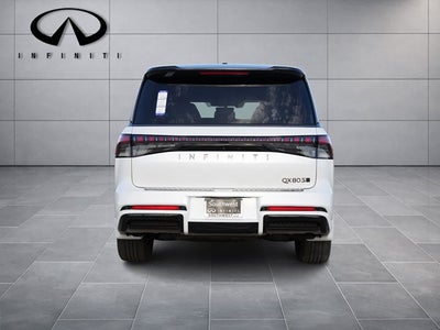 2026 INFINITI QX80 SPORT